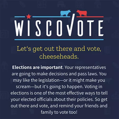 WiscoVote website on various devices